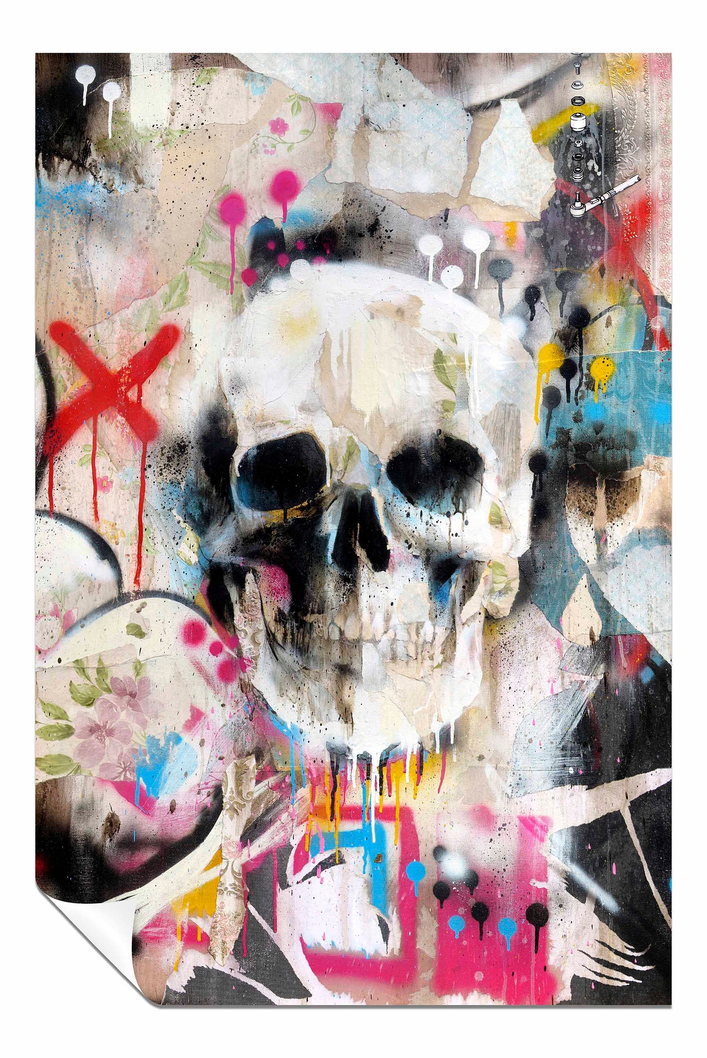 Skull, Pictures for Home Walls, Bedroom, Living Room & Bathroom Decor