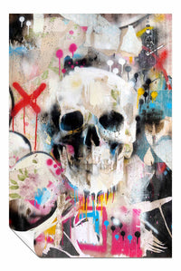 Skull, Pictures for Home Walls, Bedroom, Living Room & Bathroom Decor