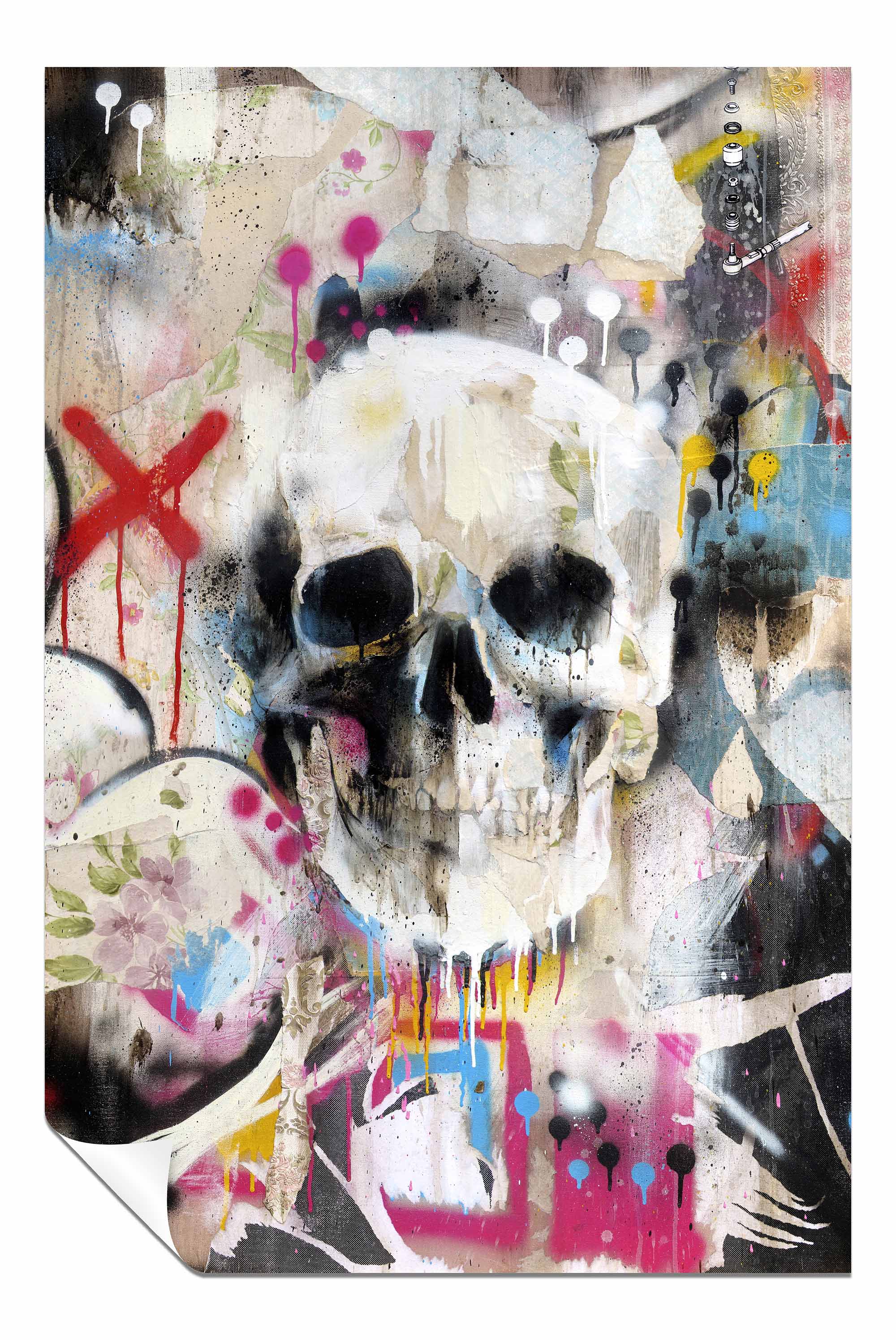 Skull, Pictures for Home Walls, Bedroom, Living Room & Bathroom Decor