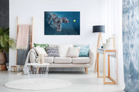SplashDog, Pictures for Home Walls, Bedroom, Living Room & Bathroom Decor