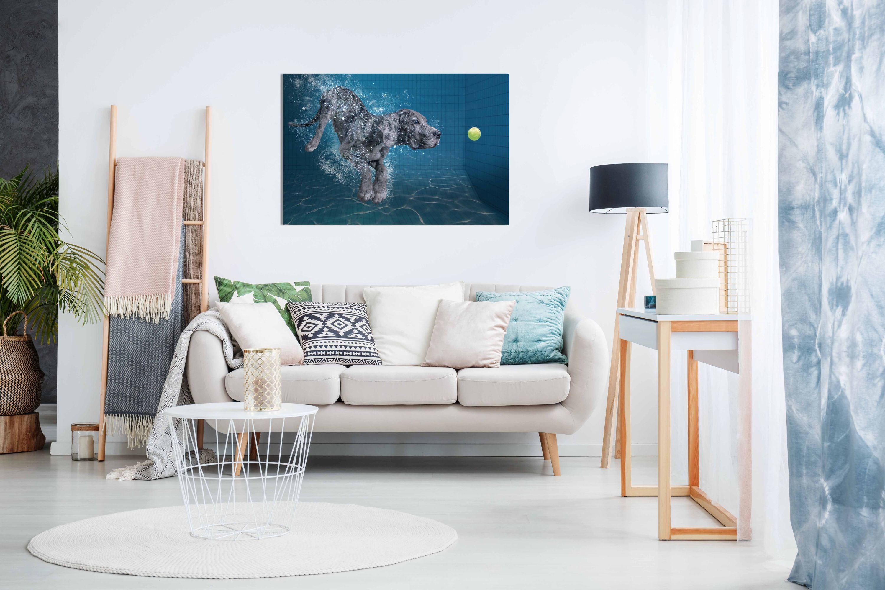SplashDog, Pictures for Home Walls, Bedroom, Living Room & Bathroom Decor