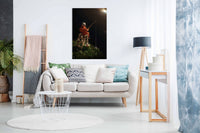 Star Fishing, Pictures for Home Walls, Bedroom, Living Room & Bathroom Decor