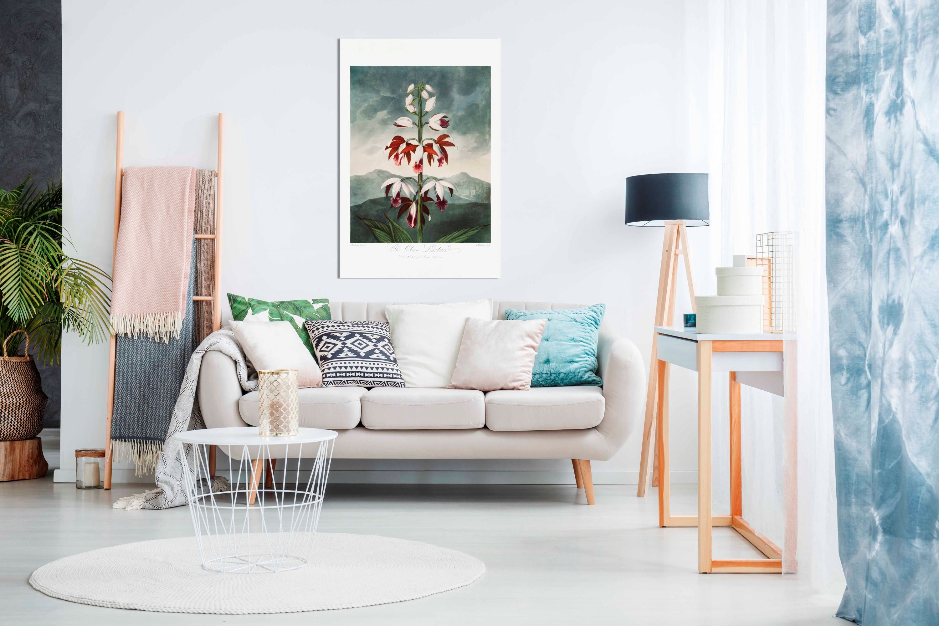 The Chinese Limodoron, Pictures for Home Walls, Bedroom, Living Room & Bathroom Decor