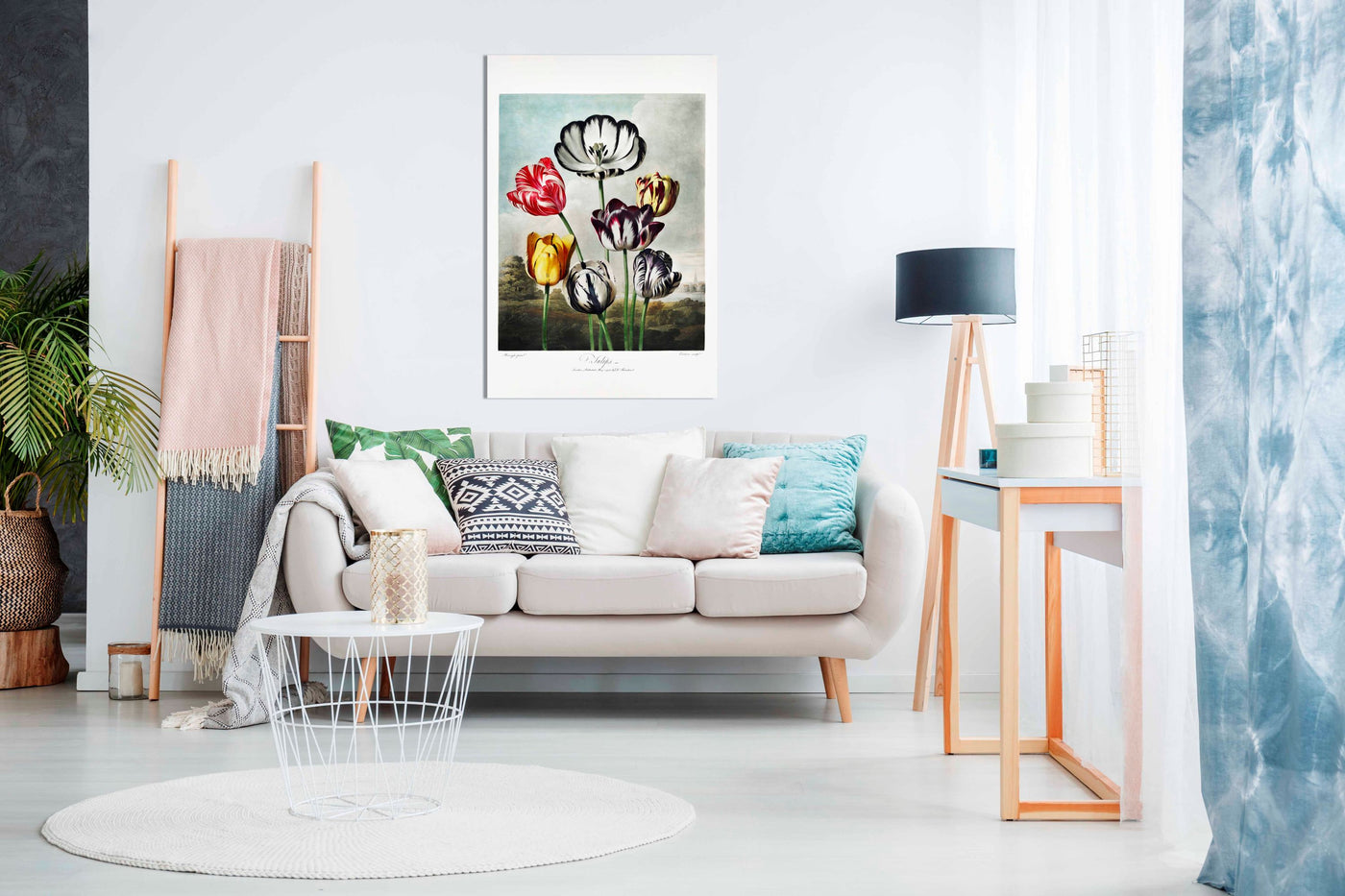 Tulips from The Temple of Florajpg, Pictures for Home Walls, Bedroom, Living Room & Bathroom Decor