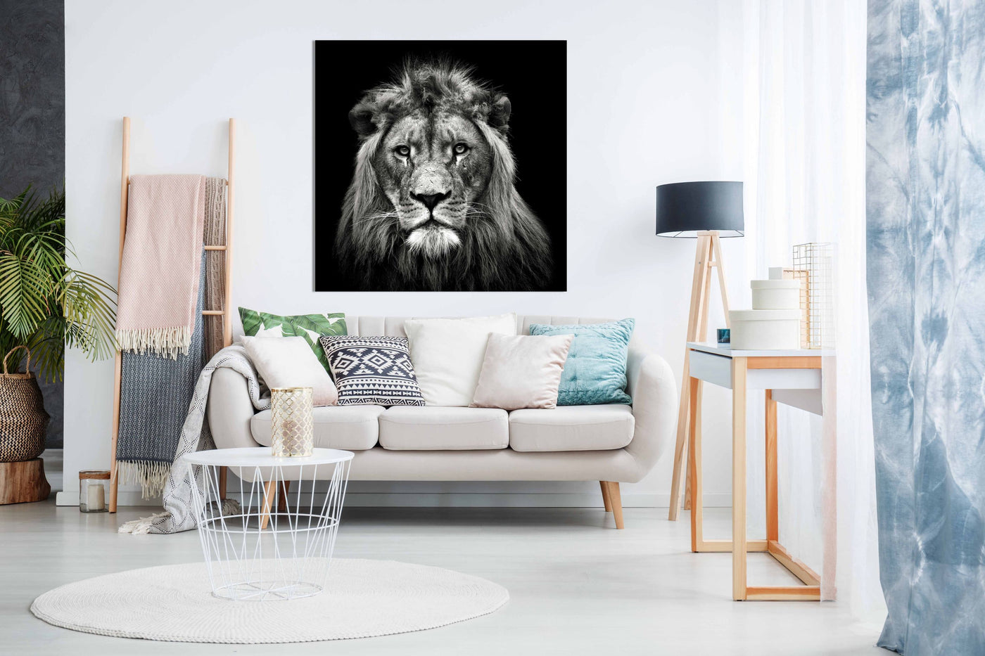 Young Male Lion, Pictures for Home Walls, Bedroom, Living Room & Bathroom Decor