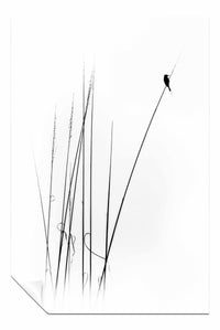 A Sabbatical Picture Print, Pictures for Home Walls, Bedroom, Living Room & Bathroom Decor