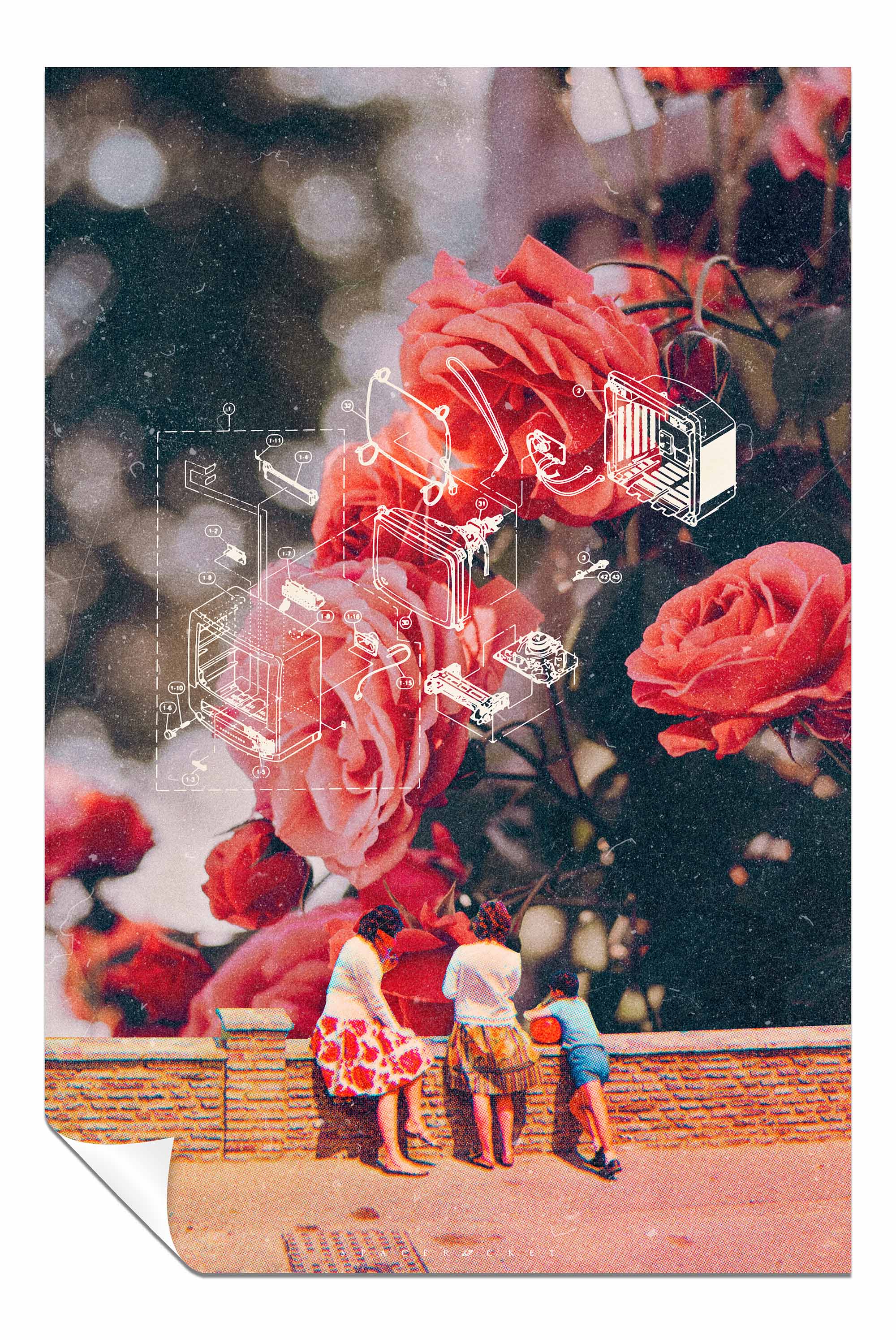 Rose Diagram, Pictures for Home Walls, Bedroom, Living Room & Bathroom Decor
