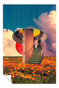 stairs to nature, Pictures for Home Walls, Bedroom, Living Room & Bathroom Decor