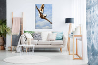 the dive 4, Pictures for Home Walls, Bedroom, Living Room & Bathroom Decor