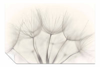 Wind Flower, Pictures for Home Walls, Bedroom, Living Room & Bathroom Decor